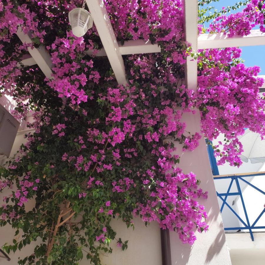 B&B Sognando Vietri E Spa Esclusiva Аверса Екстериор снимка
